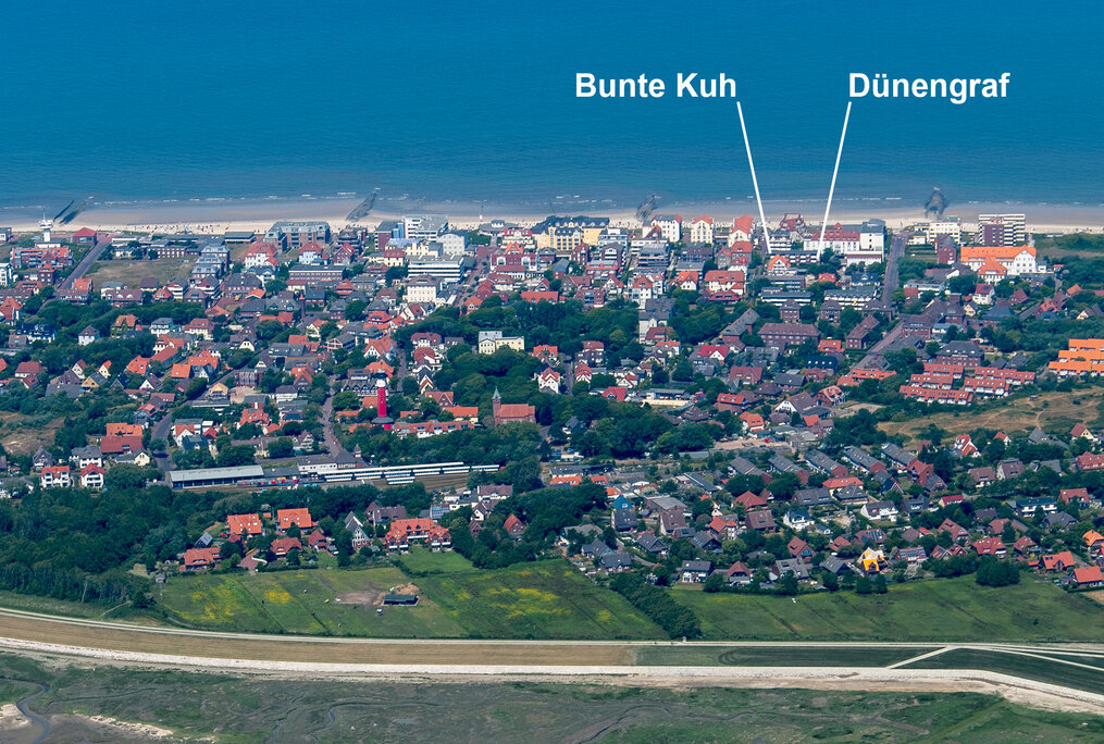 duenengraf_buntekuh