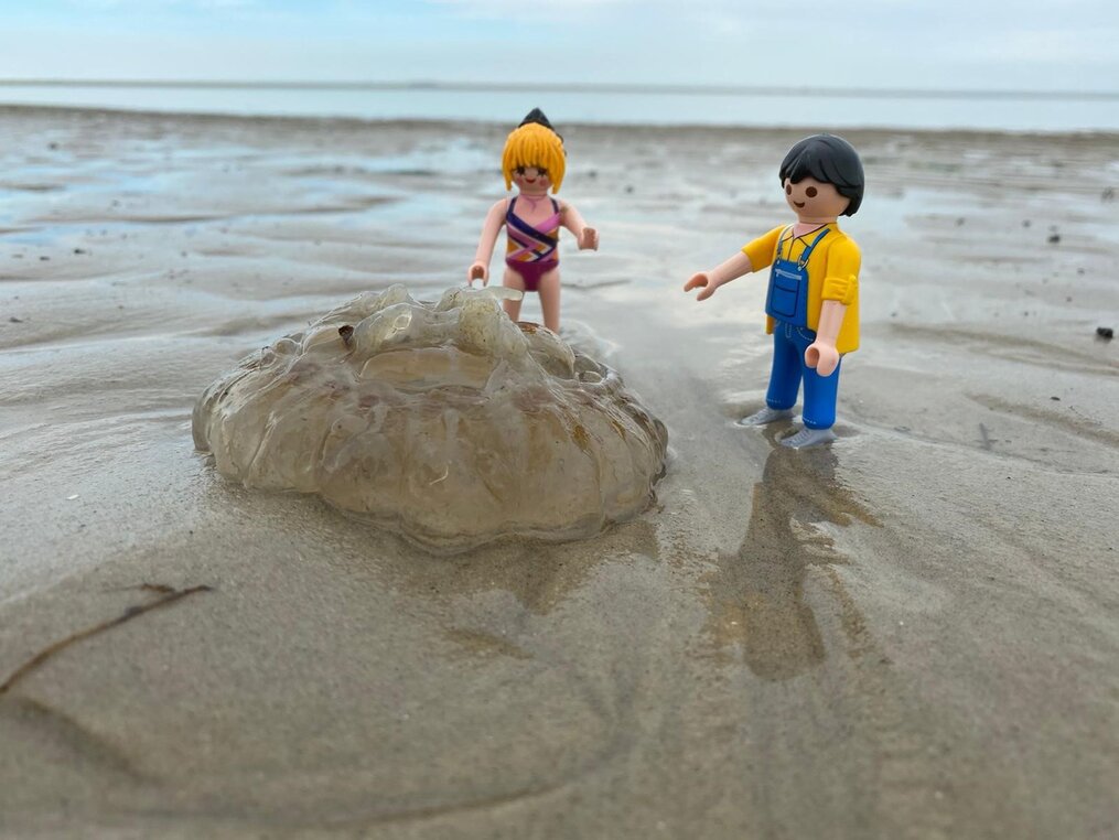 ferienwohnung-wangerooge-insel001